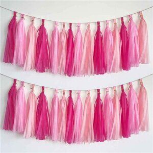 Hot Pink Light Pink Tassel Garland Tissue Paper Party Decorations DIY Banner Kit
